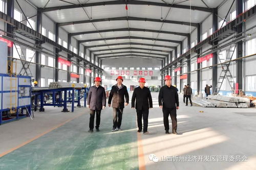 忻州经济开发区高性能特种有色金属制备加工项目顺利点火投产